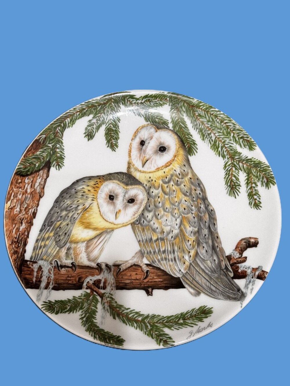 Goebel Schleiereule Barn Owl Decorative Plate, Vintage West Germany Circa 1970s